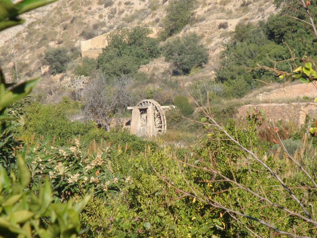 Casica De Perintin Cottage Ricote Exterior photo