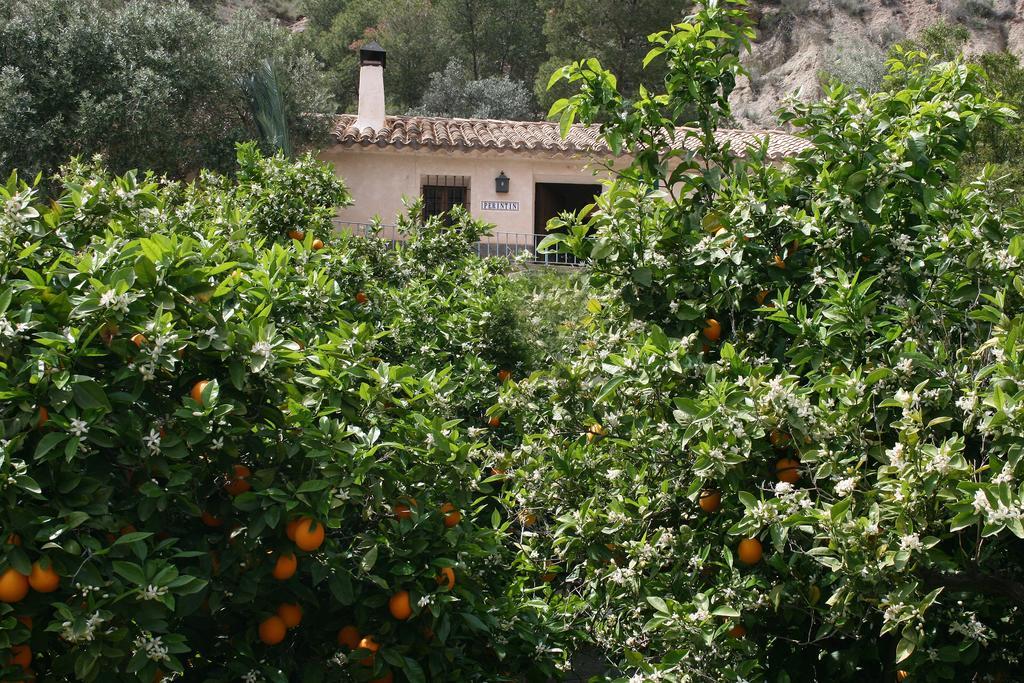Casica De Perintin Cottage Ricote Exterior photo